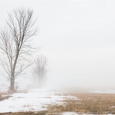 英雄联盟押注app