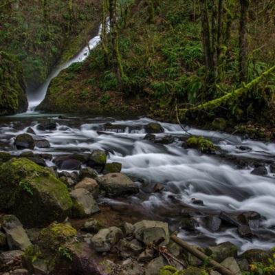 香港2023正版免费资料app下载截图